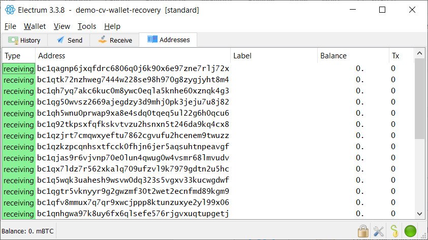 Electrum wallet successfully recovered