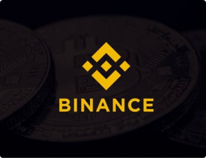 Binance Logo