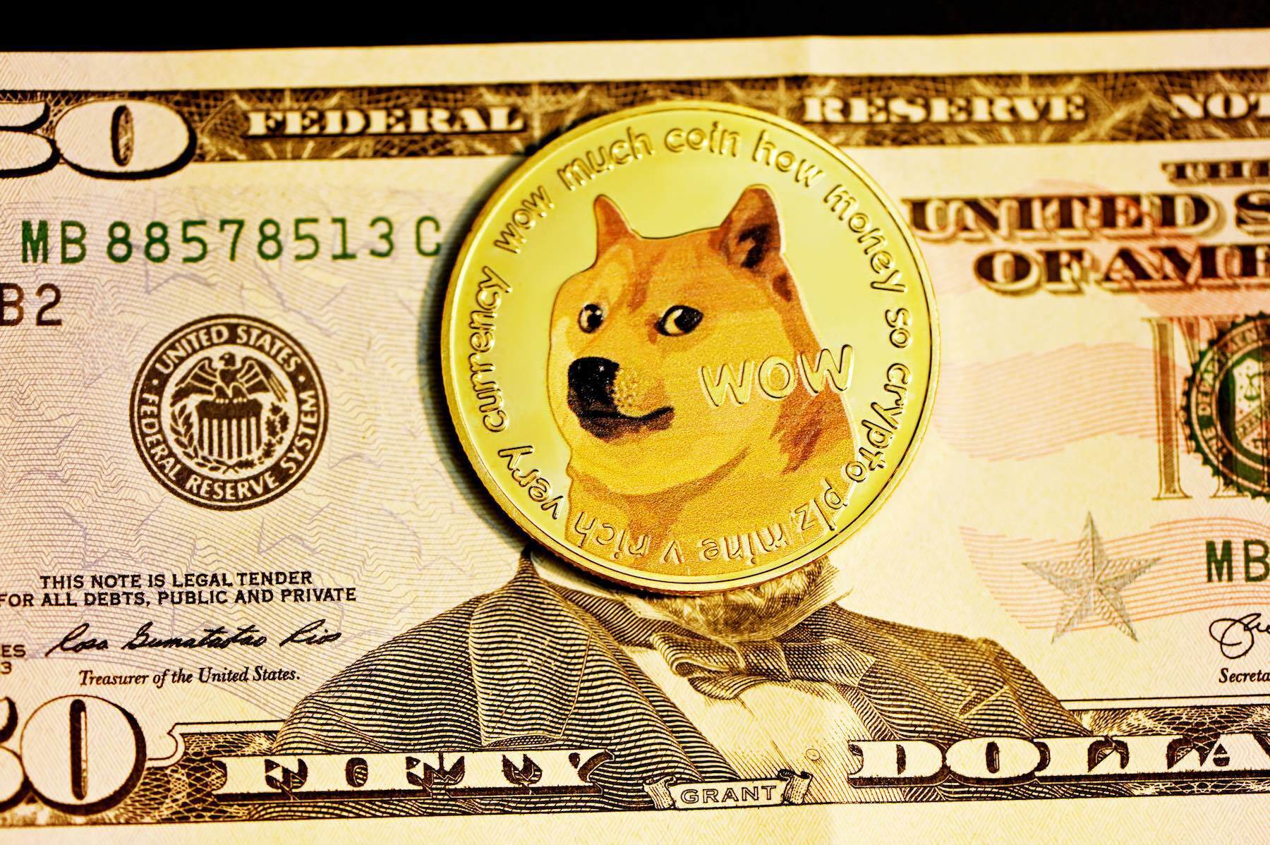 Twitter Dogecoin Logo and Elon Musk Lawsuit of $258bn Explained
