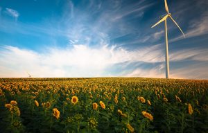 Environnement Bitcoin