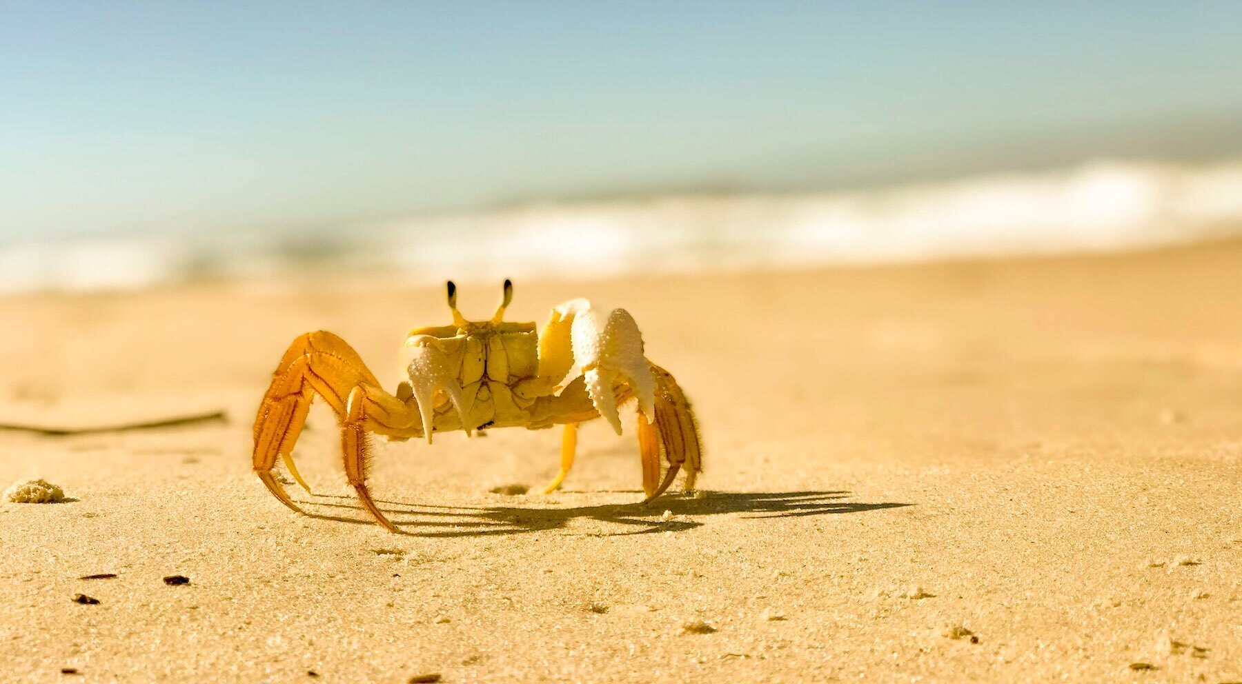 Three Ways to Take Advantage of a 