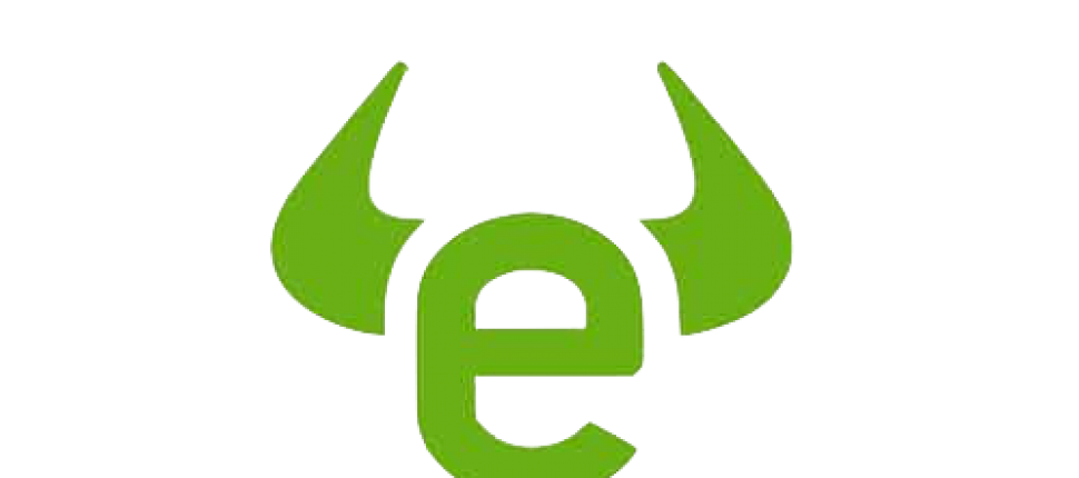 eToro Logo