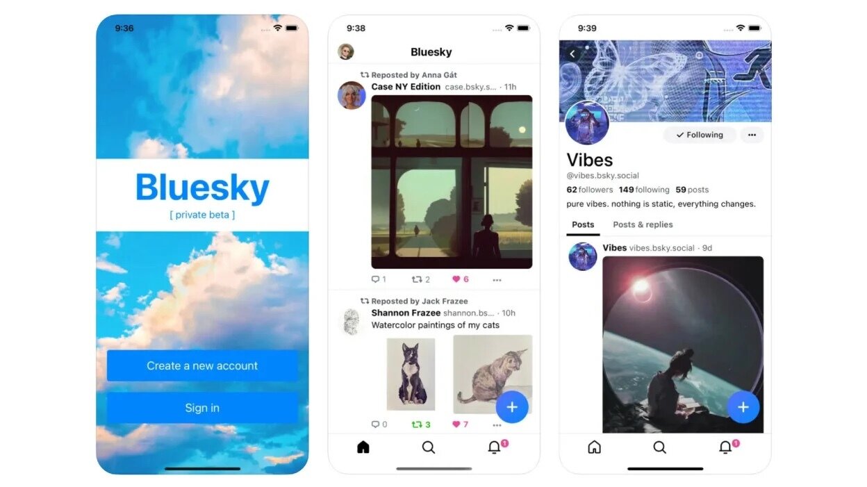 Bluesky Social App