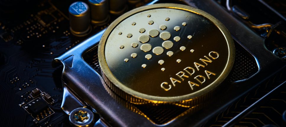 Cardano