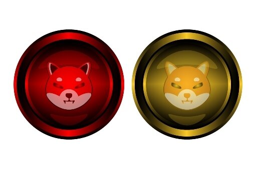 Shiba